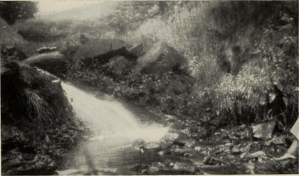 An illustration from The coming of the fairies, 1922, leaf 78