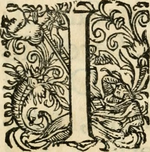 An illustration from Comitiologia Hungarica Semproniensis, hoc est, Regia inauguratio Augustae Imperatricis Eleonorae Magdalenae Teresiae : cum succincta recensione eorum, quae Sempronij Comitiorum tempore usq[ue] ad finem anni M.DC.LXXXI acta & articulis conditis sunt, 1682, leaf 15