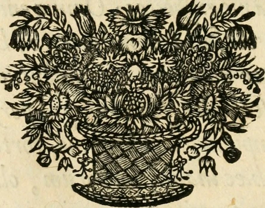 An illustration from Comitiologia Hungarica Semproniensis, hoc est, Regia inauguratio Augustae Imperatricis Eleonorae Magdalenae Teresiae : cum succincta recensione eorum, quae Sempronij Comitiorum tempore usq[ue] ad finem anni M.DC.LXXXI acta & articulis conditis sunt, 1682, leaf 17