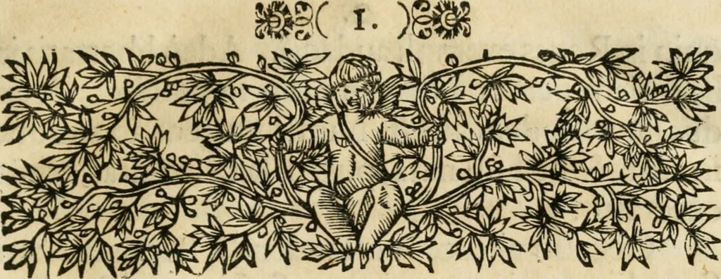An illustration from Comitiologia Hungarica Semproniensis, hoc est, Regia inauguratio Augustae Imperatricis Eleonorae Magdalenae Teresiae : cum succincta recensione eorum, quae Sempronij Comitiorum tempore usq[ue] ad finem anni M.DC.LXXXI acta & articulis conditis sunt, 1682, leaf 18