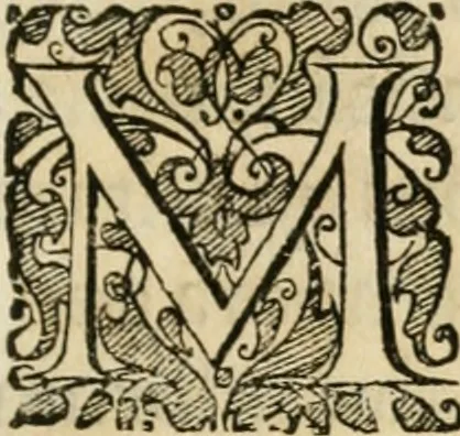 An illustration from Comitiologia Hungarica Semproniensis, hoc est, Regia inauguratio Augustae Imperatricis Eleonorae Magdalenae Teresiae : cum succincta recensione eorum, quae Sempronij Comitiorum tempore usq[ue] ad finem anni M.DC.LXXXI acta & articulis conditis sunt, 1682, leaf 18