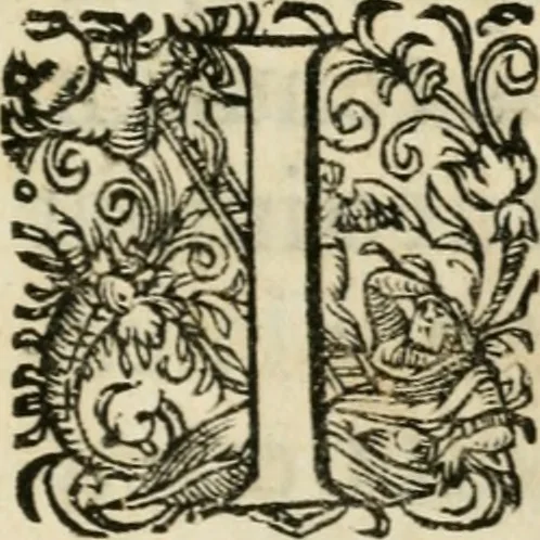 An illustration from Comitiologia Hungarica Semproniensis, hoc est, Regia inauguratio Augustae Imperatricis Eleonorae Magdalenae Teresiae : cum succincta recensione eorum, quae Sempronij Comitiorum tempore usq[ue] ad finem anni M.DC.LXXXI acta & articulis conditis sunt, 1682, leaf 8