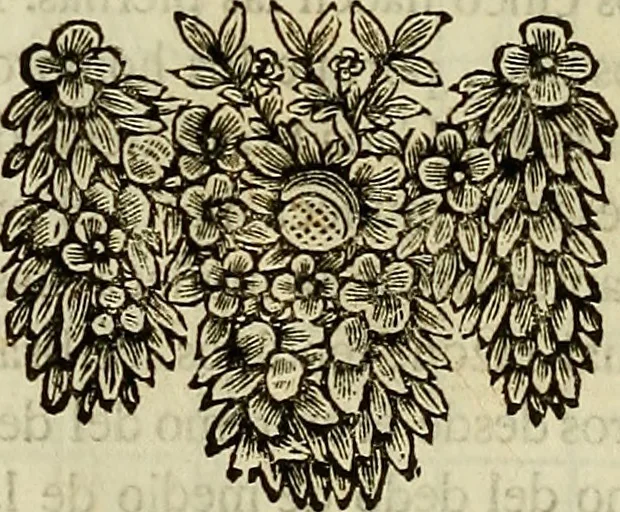 An illustration from Varia commensuracion para la escultura y arquitectura, 1773, leaf 123