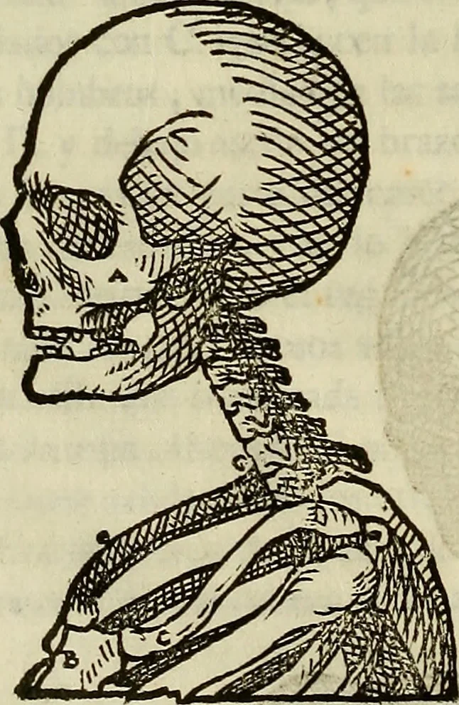 An illustration from Varia commensuracion para la escultura y arquitectura, 1773, leaf 129