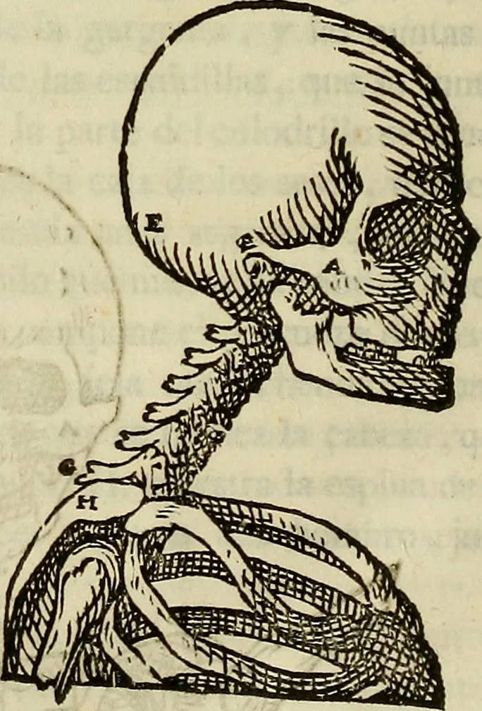 An illustration from Varia commensuracion para la escultura y arquitectura, 1773, leaf 129