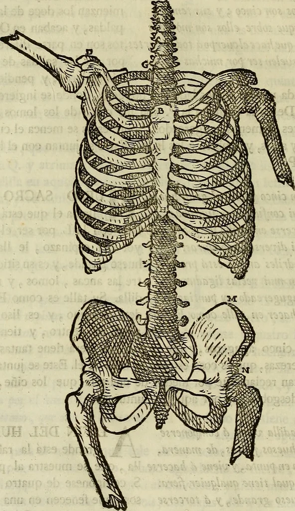 An illustration from Varia commensuracion para la escultura y arquitectura, 1773, leaf 133
