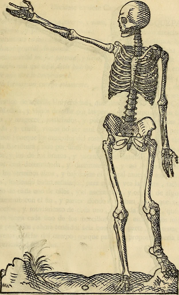 An illustration from Varia commensuracion para la escultura y arquitectura, 1773, leaf 146