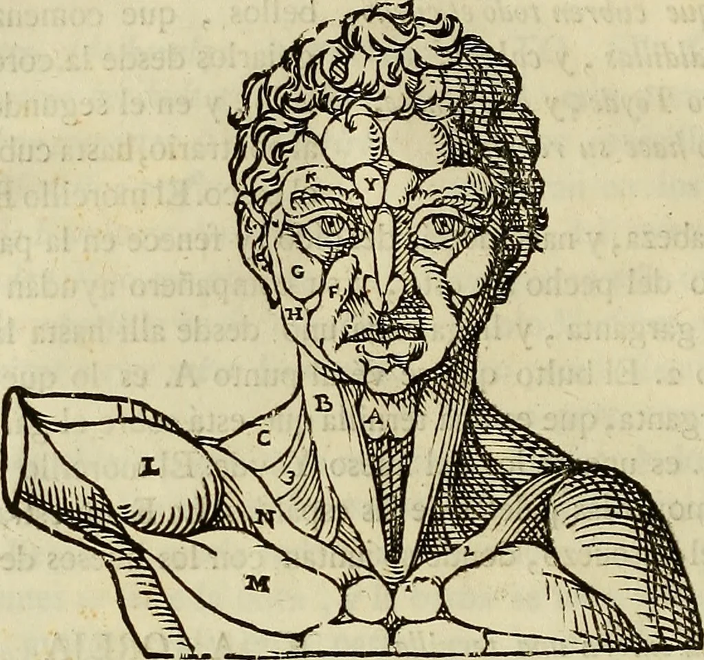 An illustration from Varia commensuracion para la escultura y arquitectura, 1773, leaf 151
