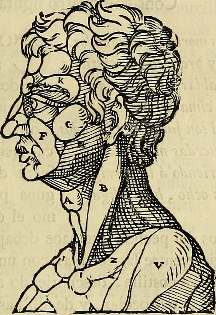 An illustration from Varia commensuracion para la escultura y arquitectura, 1773, leaf 152