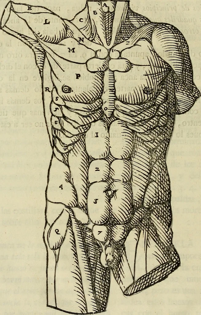 An illustration from Varia commensuracion para la escultura y arquitectura, 1773, leaf 157