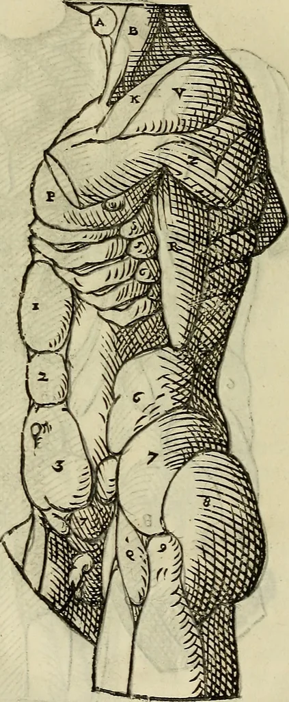 An illustration from Varia commensuracion para la escultura y arquitectura, 1773, leaf 159