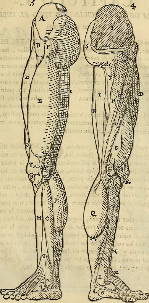 An illustration from Varia commensuracion para la escultura y arquitectura, 1773, leaf 170