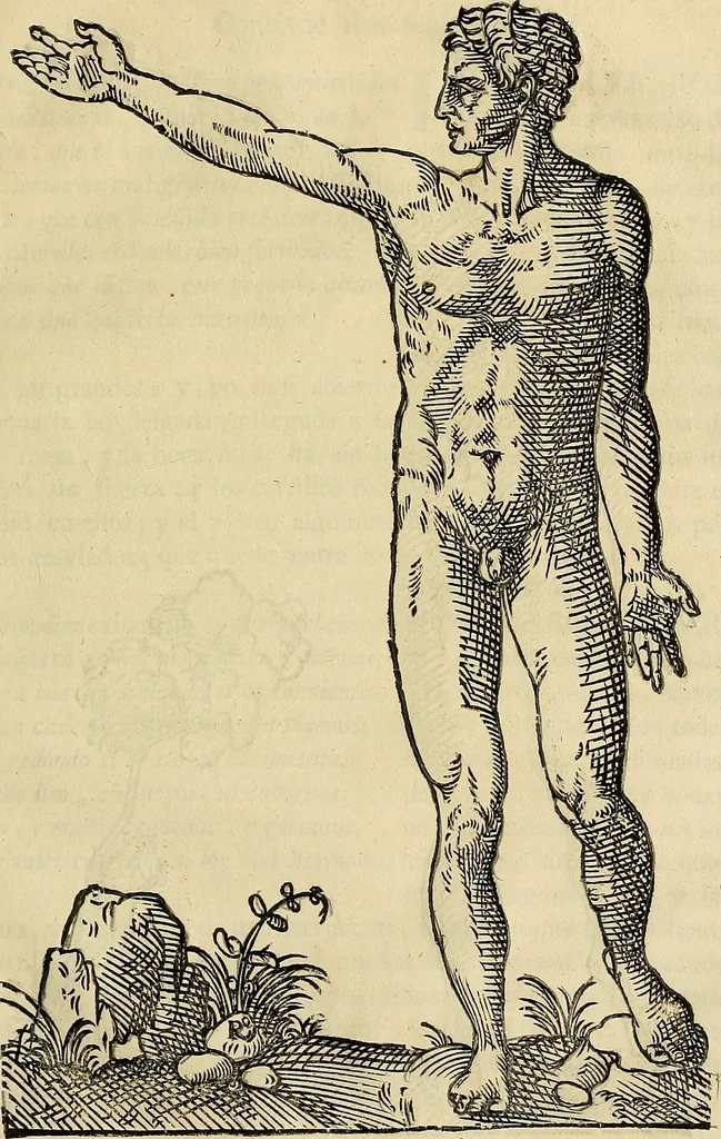 An illustration from Varia commensuracion para la escultura y arquitectura, 1773, leaf 172