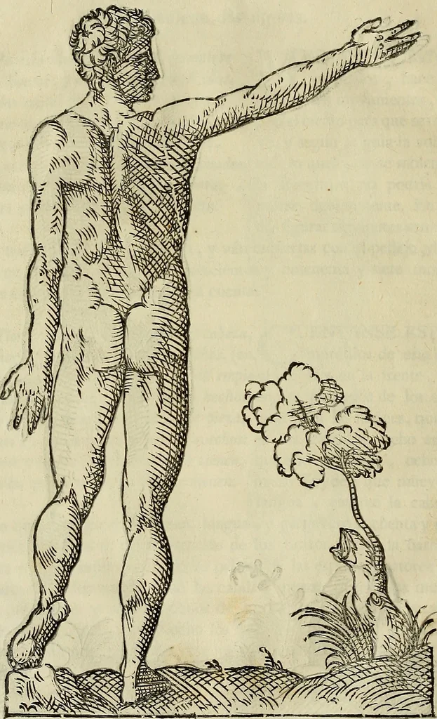 An illustration from Varia commensuracion para la escultura y arquitectura, 1773, leaf 173