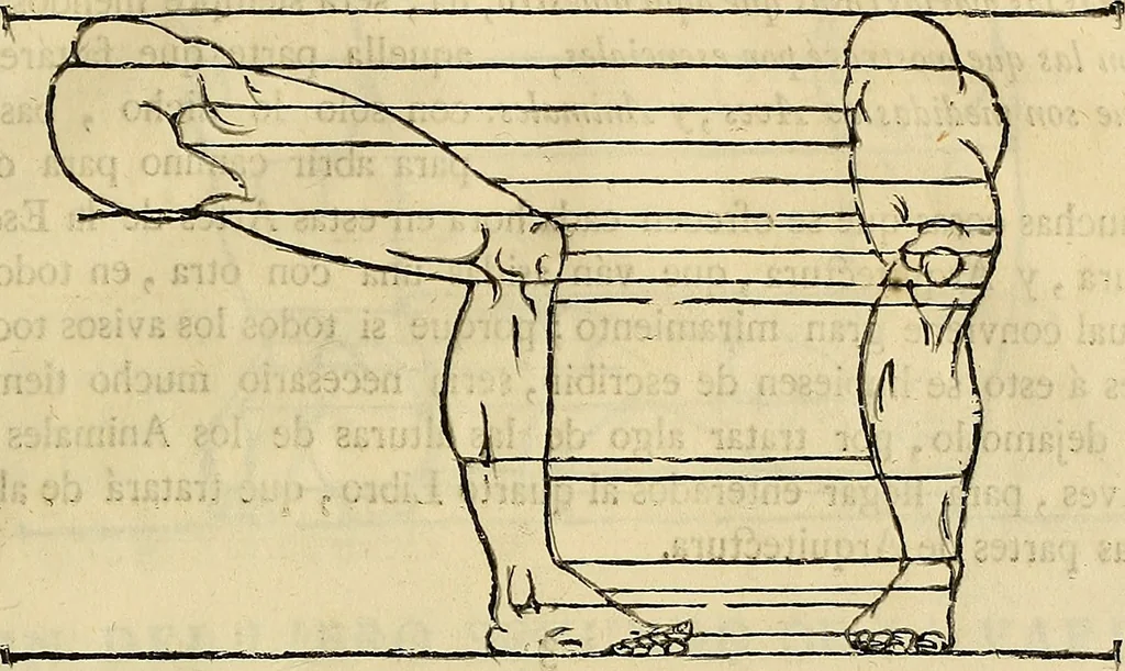 An illustration from Varia commensuracion para la escultura y arquitectura, 1773, leaf 192