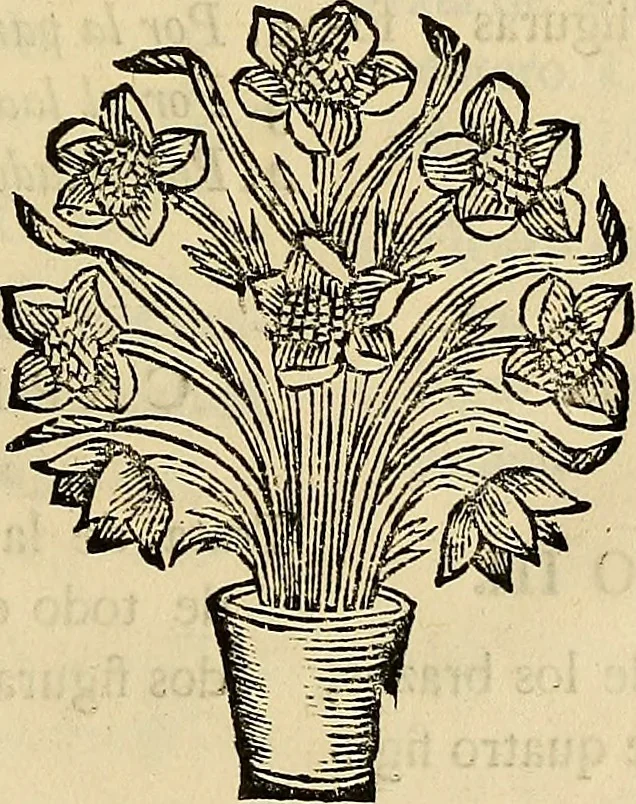 An illustration from Varia commensuracion para la escultura y arquitectura, 1773, leaf 194