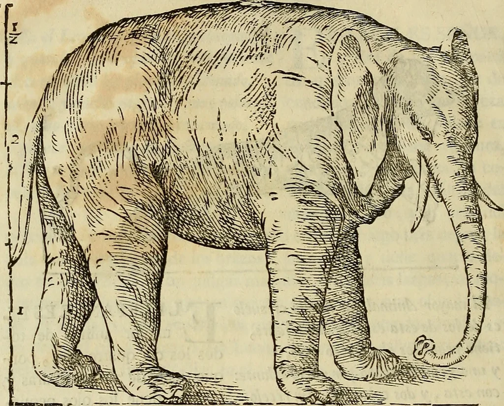 An illustration from Varia commensuracion para la escultura y arquitectura, 1773, leaf 203
