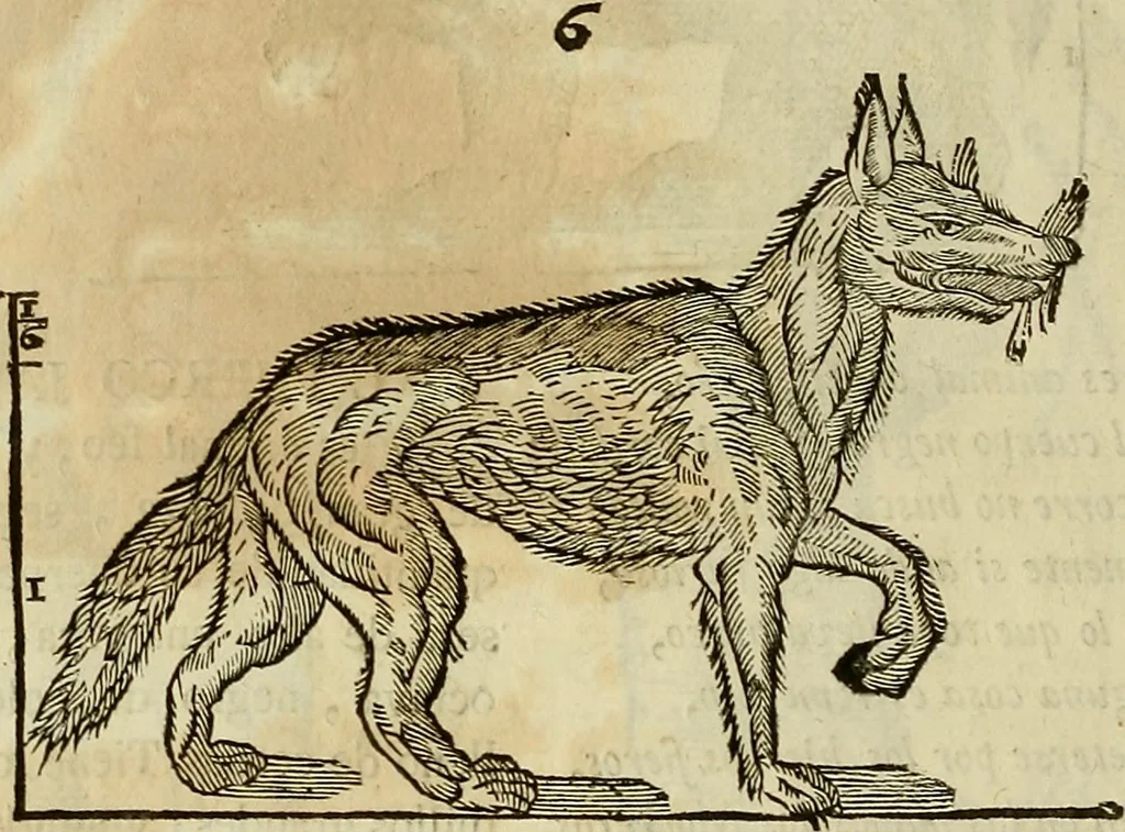 An illustration from Varia commensuracion para la escultura y arquitectura, 1773, leaf 205
