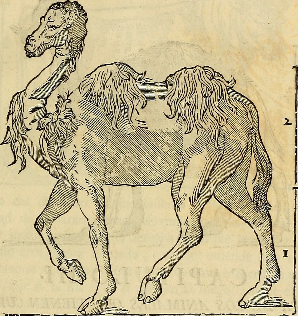 An illustration from Varia commensuracion para la escultura y arquitectura, 1773, leaf 208