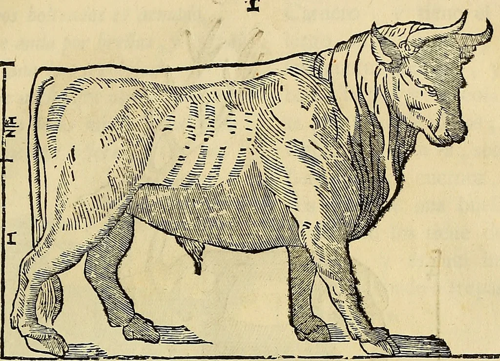 An illustration from Varia commensuracion para la escultura y arquitectura, 1773, leaf 210