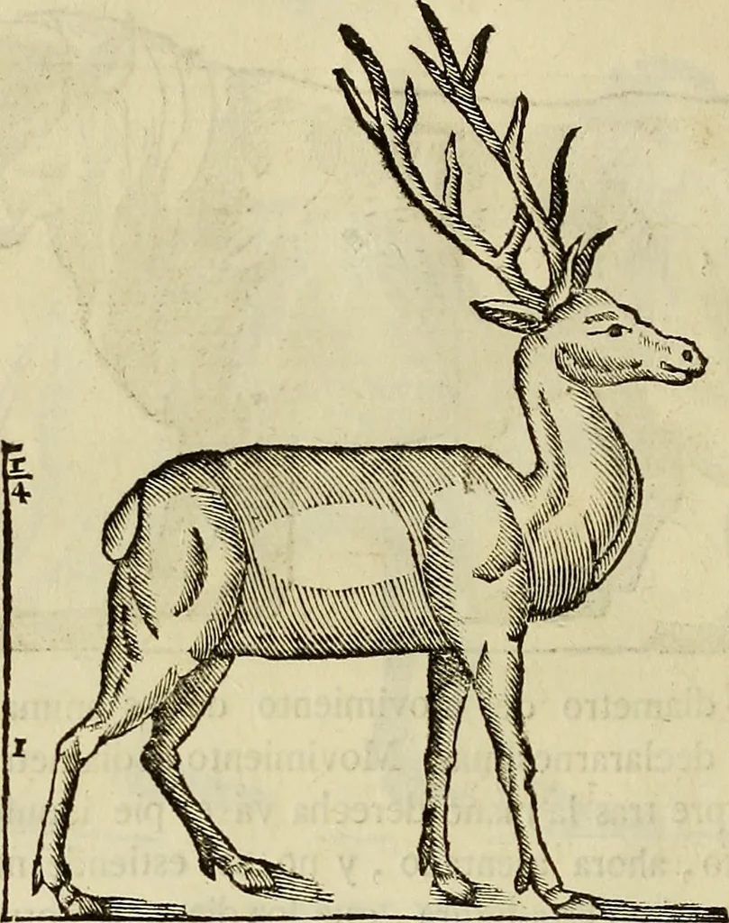 An illustration from Varia commensuracion para la escultura y arquitectura, 1773, leaf 211