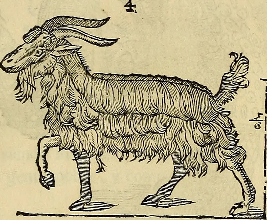An illustration from Varia commensuracion para la escultura y arquitectura, 1773, leaf 212