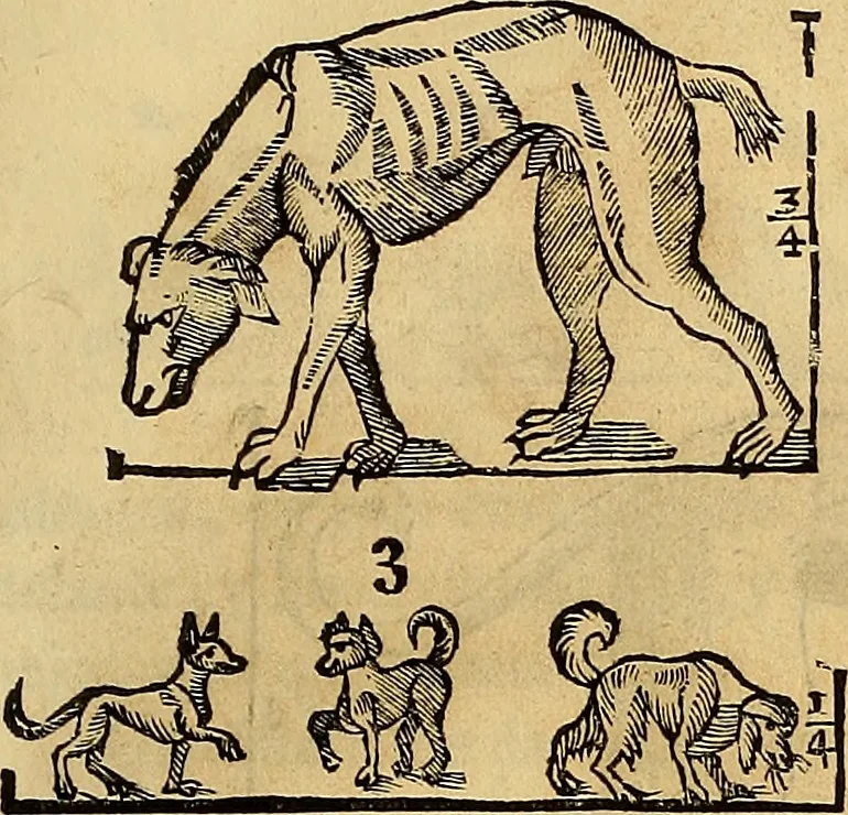 An illustration from Varia commensuracion para la escultura y arquitectura, 1773, leaf 214