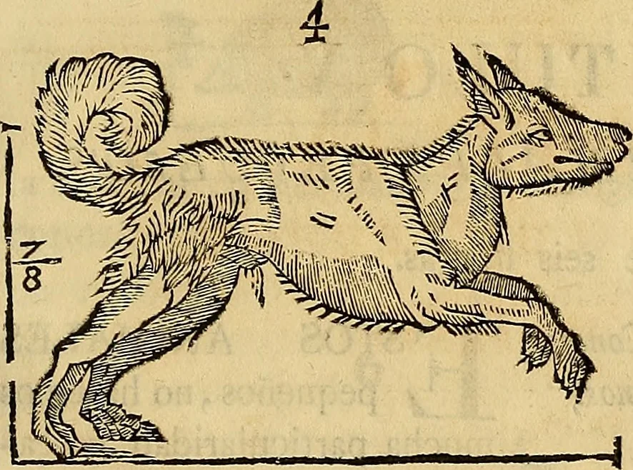 An illustration from Varia commensuracion para la escultura y arquitectura, 1773, leaf 214