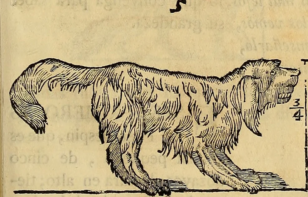 An illustration from Varia commensuracion para la escultura y arquitectura, 1773, leaf 214