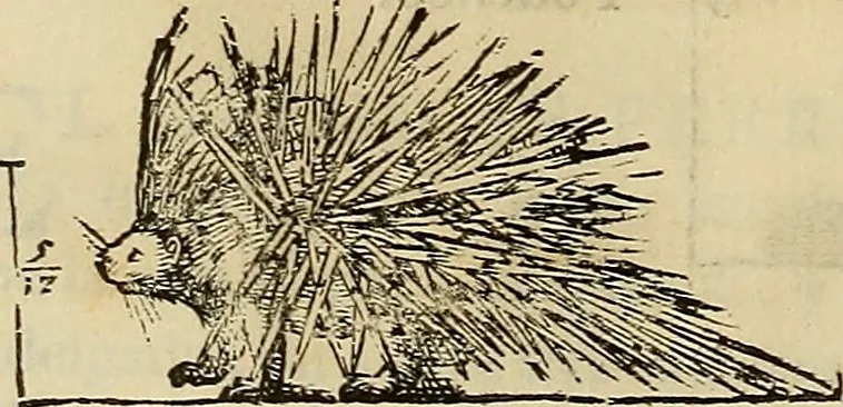An illustration from Varia commensuracion para la escultura y arquitectura, 1773, leaf 215