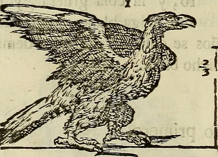 An illustration from Varia commensuracion para la escultura y arquitectura, 1773, leaf 217