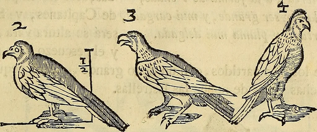 An illustration from Varia commensuracion para la escultura y arquitectura, 1773, leaf 218
