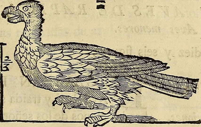 An illustration from Varia commensuracion para la escultura y arquitectura, 1773, leaf 218