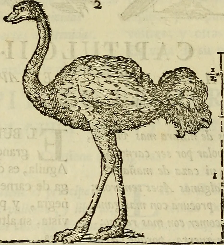 An illustration from Varia commensuracion para la escultura y arquitectura, 1773, leaf 219