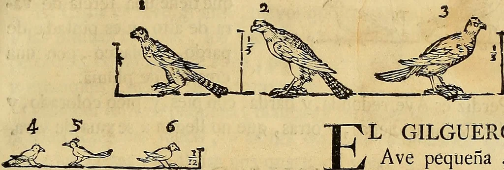 An illustration from Varia commensuracion para la escultura y arquitectura, 1773, leaf 220