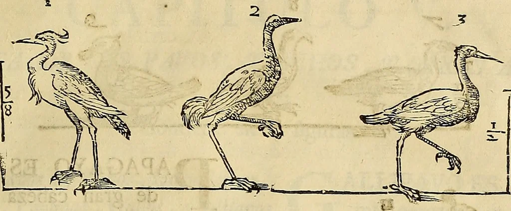 An illustration from Varia commensuracion para la escultura y arquitectura, 1773, leaf 222