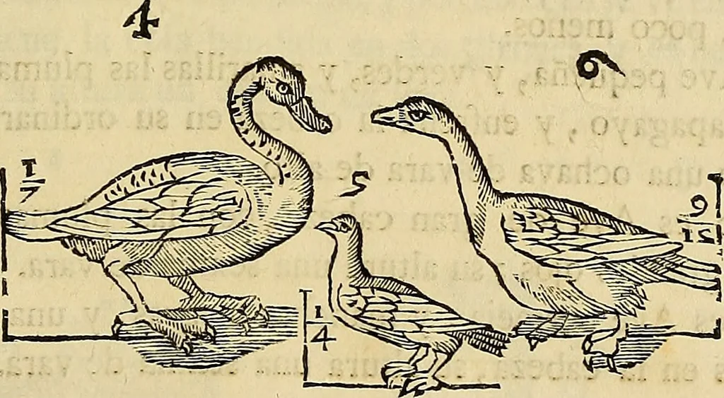 An illustration from Varia commensuracion para la escultura y arquitectura, 1773, leaf 222