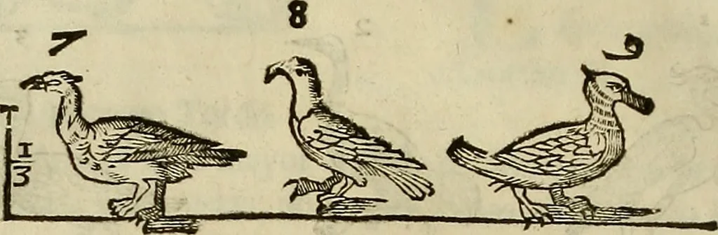 An illustration from Varia commensuracion para la escultura y arquitectura, 1773, leaf 223