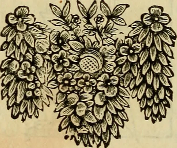 An illustration from Varia commensuracion para la escultura y arquitectura, 1773, leaf 301