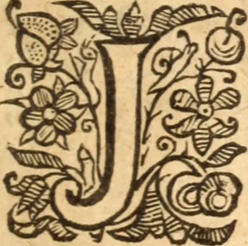 An illustration from A practical commentary, or, An exposition with notes on the Epistle of James : delivered in sundry weekly lectures at Stoke-Newington in Middlesex, near London, 1653, leaf 24