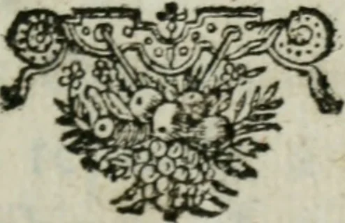 An illustration from Commentaire philosophique sur ces paroles de Jésus-Chrit contrain-les d'entrer : où l'on prouve par plusieurs raisons démonstratives qu'il n'y a rien de plus-abominable que de faire des conversions par la contrainte, & l'on refute tous les sophismes des convertisseurs à contrainte, & l'apologie que S. Augustin a faite des persecutions, 1686, leaf 2