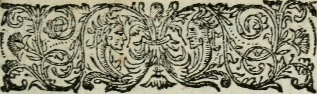 An illustration from Commentaire philosophique sur ces paroles de Jésus-Chrit contrain-les d'entrer : où l'on prouve par plusieurs raisons démonstratives qu'il n'y a rien de plus-abominable que de faire des conversions par la contrainte, & l'on refute tous les sophismes des convertisseurs à contrainte, & l'apologie que S. Augustin a faite des persecutions, 1686, leaf 4