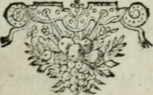 An illustration from Commentaire philosophique sur ces paroles de Jésus-Chrit contrain-les d'entrer : où l'on prouve par plusieurs raisons démonstratives qu'il n'y a rien de plus-abominable que de faire des conversions par la contrainte, & l'on refute tous les sophismes des convertisseurs à contrainte, & l'apologie que S. Augustin a faite des persecutions, 1686, leaf 6