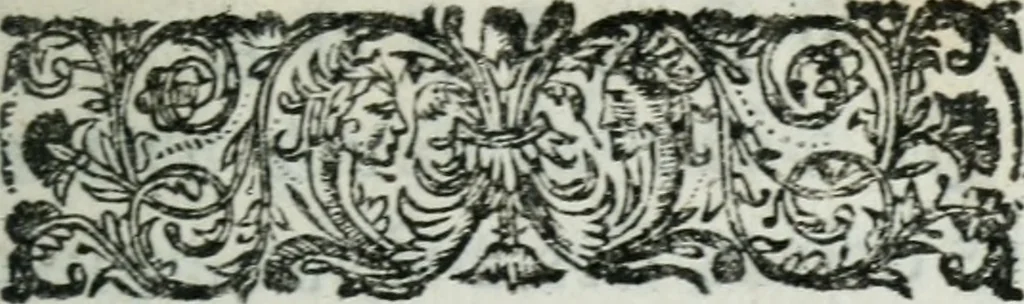 An illustration from Commentaire philosophique sur ces paroles de Jésus-Chrit contrain-les d'entrer : où l'on prouve par plusieurs raisons démonstratives qu'il n'y a rien de plus-abominable que de faire des conversions par la contrainte, & l'on refute tous les sophismes des convertisseurs à contrainte, & l'apologie que S. Augustin a faite des persecutions, 1686, leaf 8