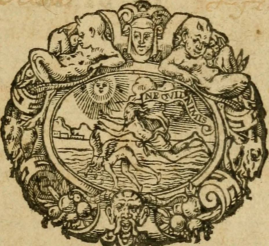 An illustration from Commentaires dv Sr de Chavigny beavnois sur les Centvries et prognostications de feu M. Michel de Nostradamus ... : contenant sommairement les troubles, diuisions, partialitez & guerres ciuiles, aduennës tant en ce royaume de France que ailleurs depuis l'an 1534 iusques a present, 1594, leaf 6
