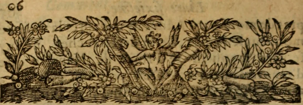 An illustration from Commentaires, où sont descris les combats, rencontres, escarmouches, batailles, sieges ... de villes & places fortes; deffence des assaillies & assiegées, auecques plusieurs autres faicts de guerre ... esquels ce grand & renommé guerrier s'est trouué durant cinquante ou soixante ans qu'il a porté les armes; ensemble diuerses instructions, qui ne doiuent estre ignorées de ceux qui veulent paruenir par les armes à quelqu'honneur, & sagement conduire tous exploits de guerre, 1626, leaf 1019