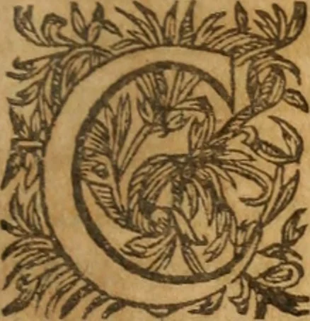 An illustration from Commentaires, où sont descris les combats, rencontres, escarmouches, batailles, sieges ... de villes & places fortes; deffence des assaillies & assiegées, auecques plusieurs autres faicts de guerre ... esquels ce grand & renommé guerrier s'est trouué durant cinquante ou soixante ans qu'il a porté les armes; ensemble diuerses instructions, qui ne doiuent estre ignorées de ceux qui veulent paruenir par les armes à quelqu'honneur, & sagement conduire tous exploits de guerre, 1626, leaf 368