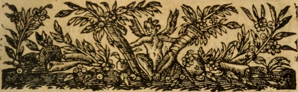 An illustration from Commentaires, où sont descris les combats, rencontres, escarmouches, batailles, sieges ... de villes & places fortes; deffence des assaillies & assiegées, auecques plusieurs autres faicts de guerre ... esquels ce grand & renommé guerrier s'est trouué durant cinquante ou soixante ans qu'il a porté les armes; ensemble diuerses instructions, qui ne doiuent estre ignorées de ceux qui veulent paruenir par les armes à quelqu'honneur, & sagement conduire tous exploits de guerre, 1626, leaf 716