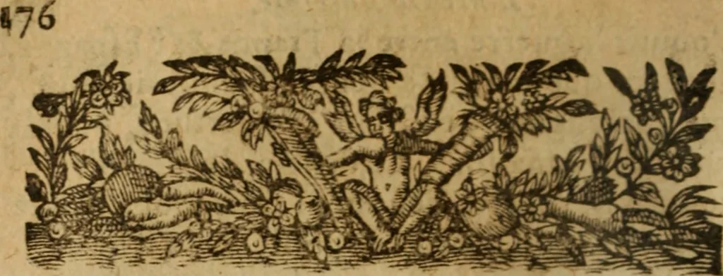 An illustration from Commentaires, où sont descris les combats, rencontres, escarmouches, batailles, sieges ... de villes & places fortes; deffence des assaillies & assiegées, auecques plusieurs autres faicts de guerre ... esquels ce grand & renommé guerrier s'est trouué durant cinquante ou soixante ans qu'il a porté les armes; ensemble diuerses instructions, qui ne doiuent estre ignorées de ceux qui veulent paruenir par les armes à quelqu'honneur, & sagement conduire tous exploits de guerre, 1626, leaf 879