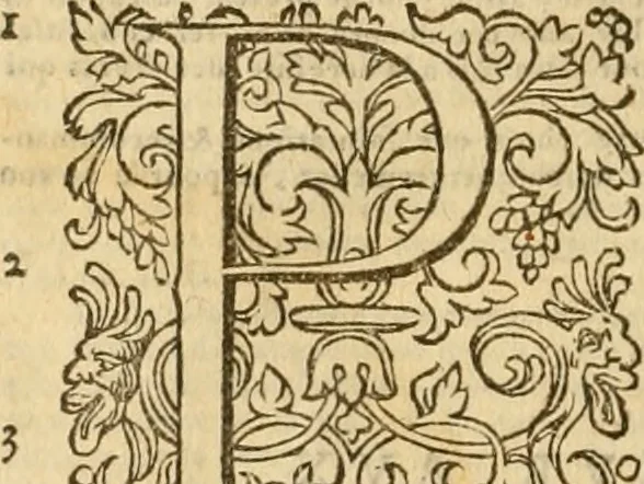 An illustration from Commentaires sur toutes les epistres de l'apostre S. Paul, et aussi sur l'epistre aux Hebrieux : item, sur les epistres canoniques de S. Pierre, S. Iehan, S. Iaques, et S. Iude .., 1561, leaf 15